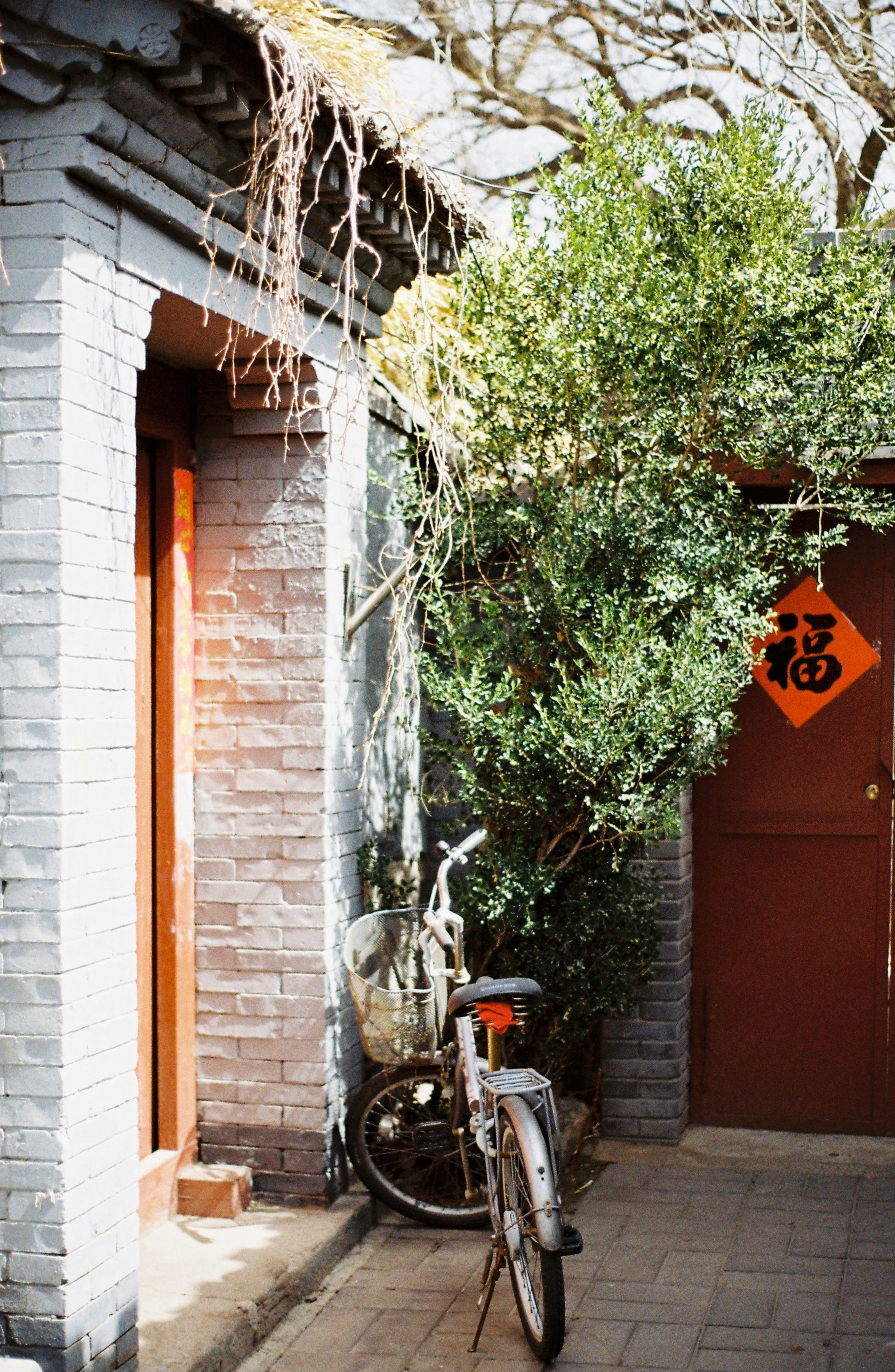 black motorcycle parked beside green tree